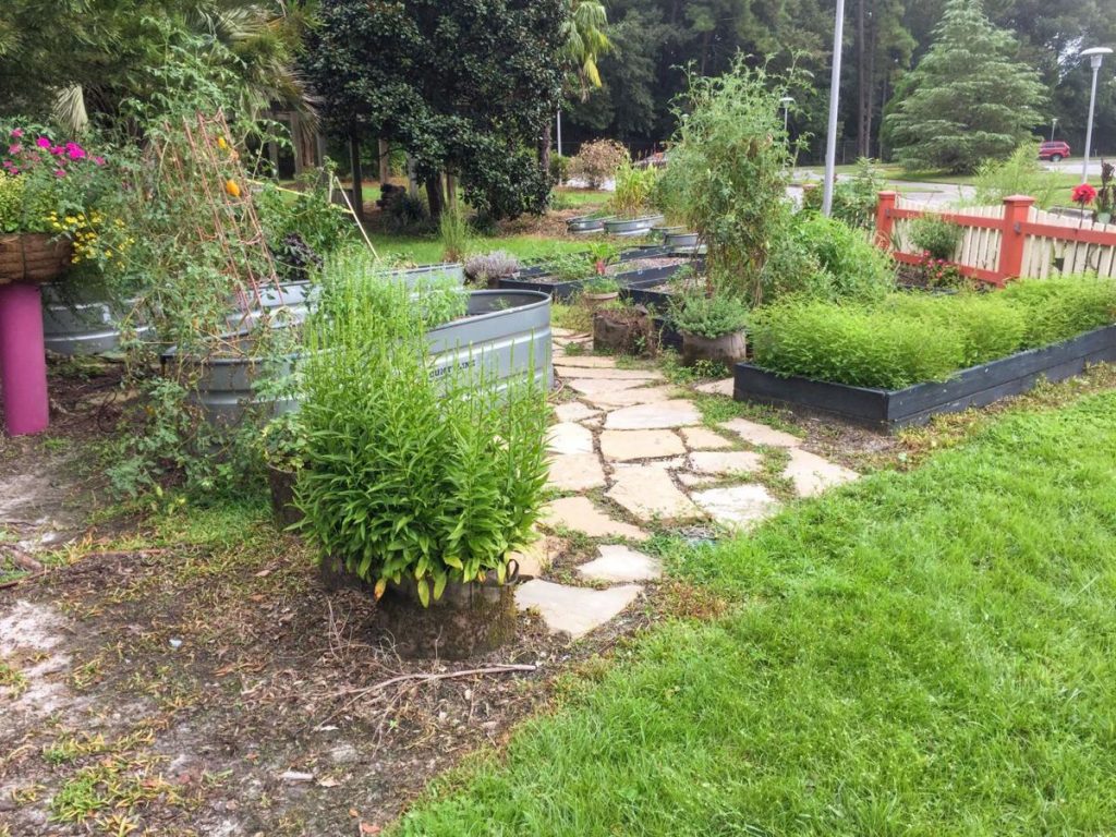 Expert Landscapers Shared Some Suggestions To Enhance Landscaping