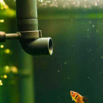 5 Quick and Easy Tricks to Improve Your Aquarium Filter